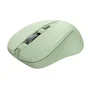 Trust Ratón inalámbrico Mydo Silent Wireless, hasta 1800 DPI, verde